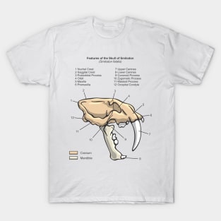 Smilodon Skull Diagram T-Shirt